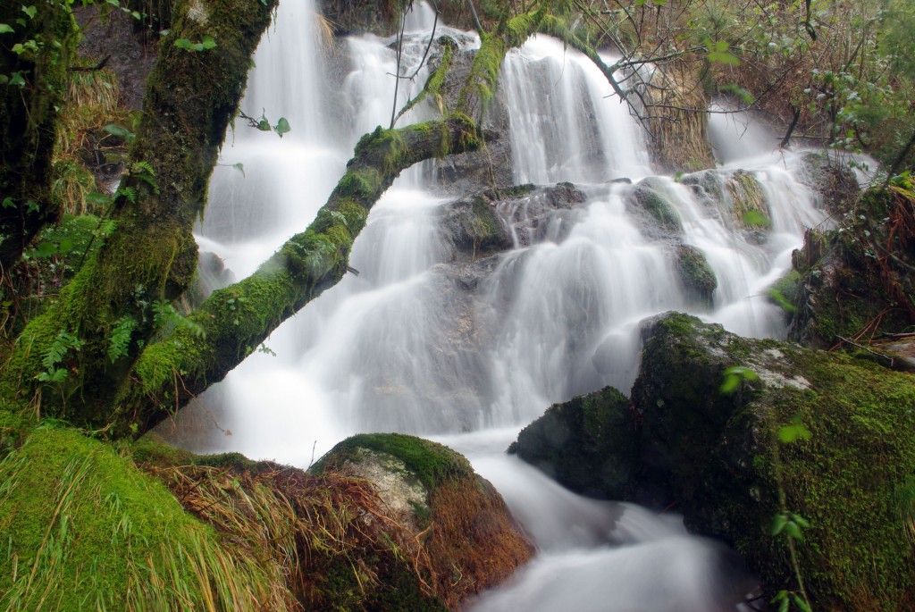 Foto de A Graña-Covelo (Pontevedra), España