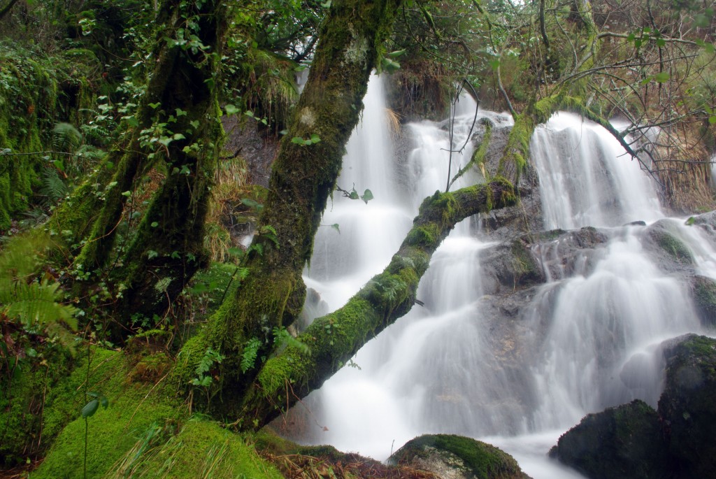 Foto de A Graña-Covelo (Pontevedra), España