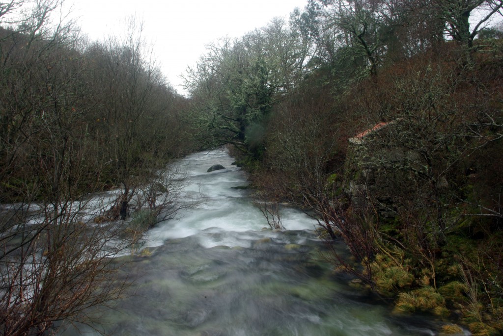Foto de A Laxe-Fornelos de Montes (Pontevedra), España