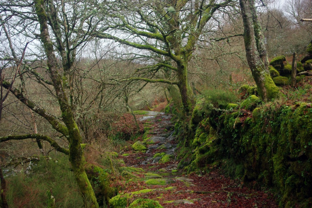 Foto de A Laxe-Fornelos de Montes (Pontevedra), España