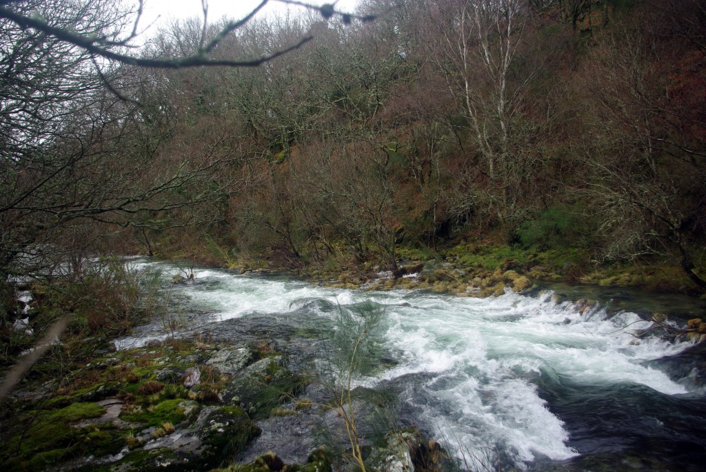 Foto de Fornelos De Montes (Pontevedra), España