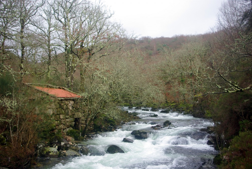 Foto de Fornelos de montes (Pontevedra), España