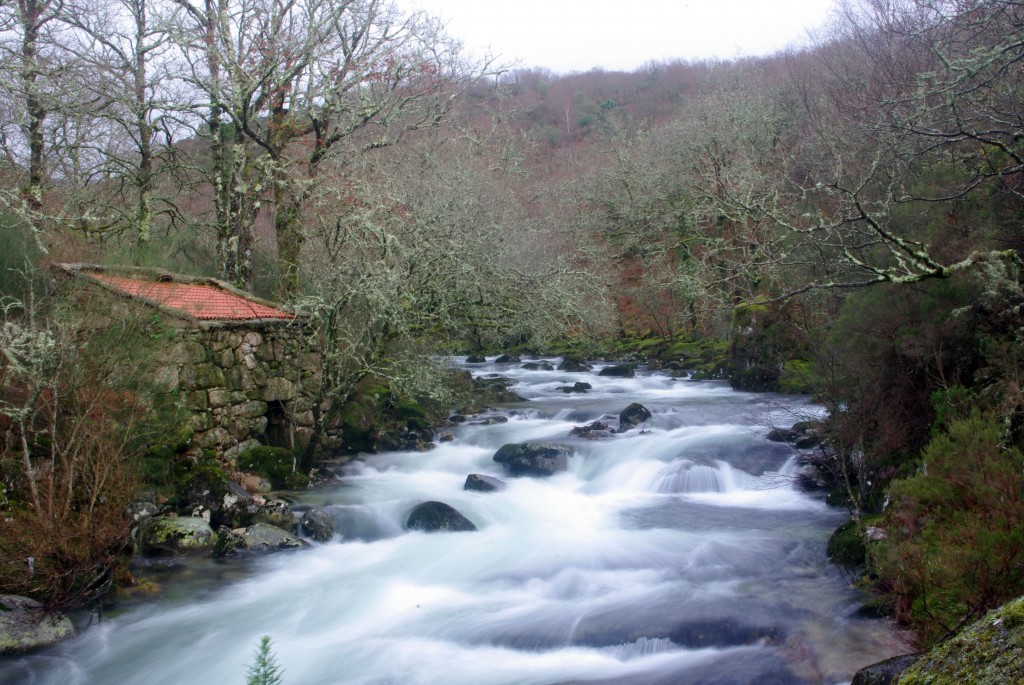 Foto de Fornelos De Montes (Pontevedra), España