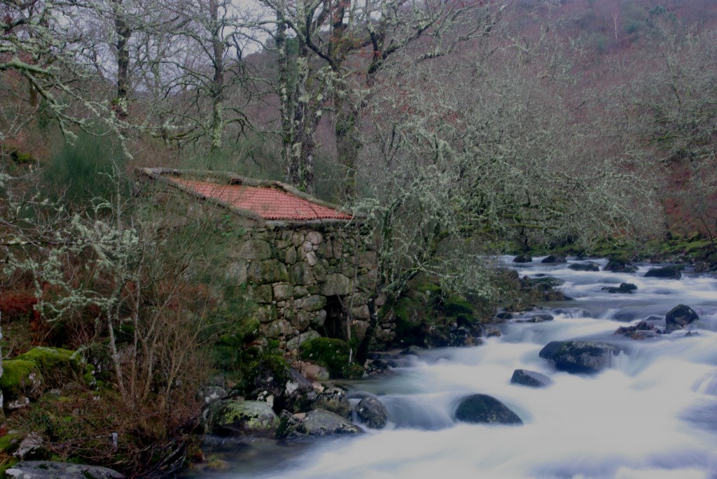 Foto de Fornelos De Montes (Pontevedra), España