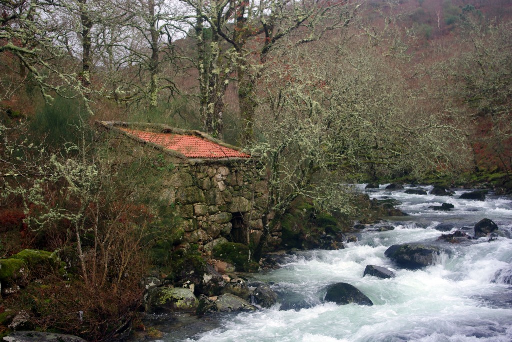 Foto de Fornelos De Montes (Pontevedra), España