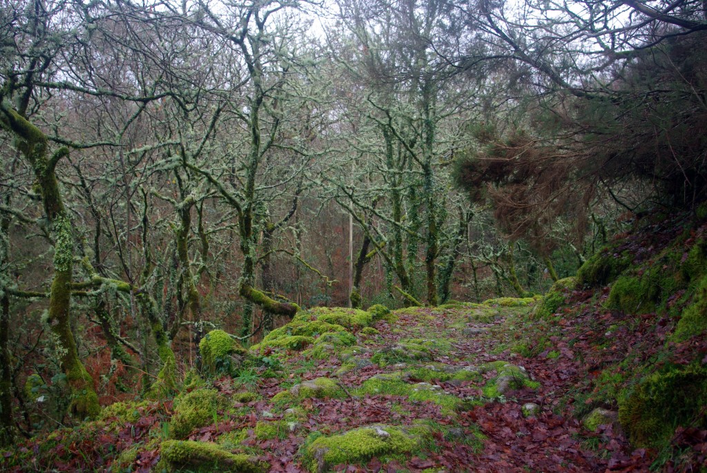 Foto de Fornelos De Montes (Pontevedra), España