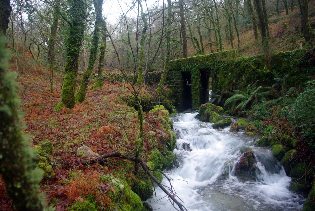 Foto de Fornelos De Montes (Pontevedra), España