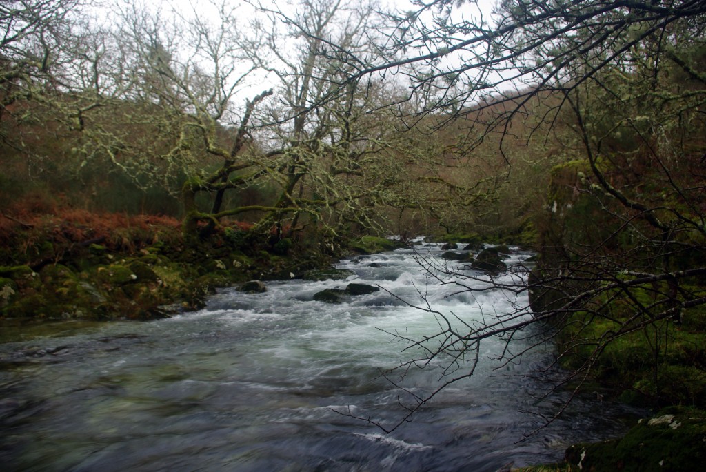 Foto de Fornelos De Montes (Pontevedra), España