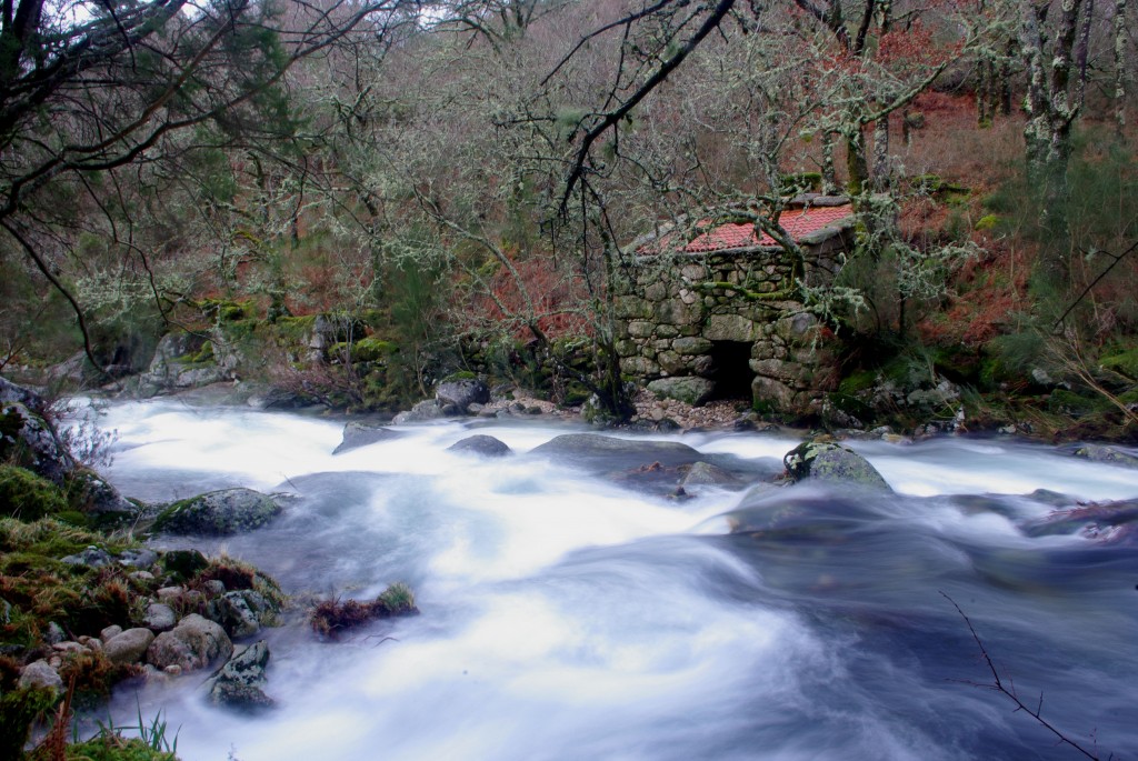 Foto de Fornelos De Montes (Pontevedra), España