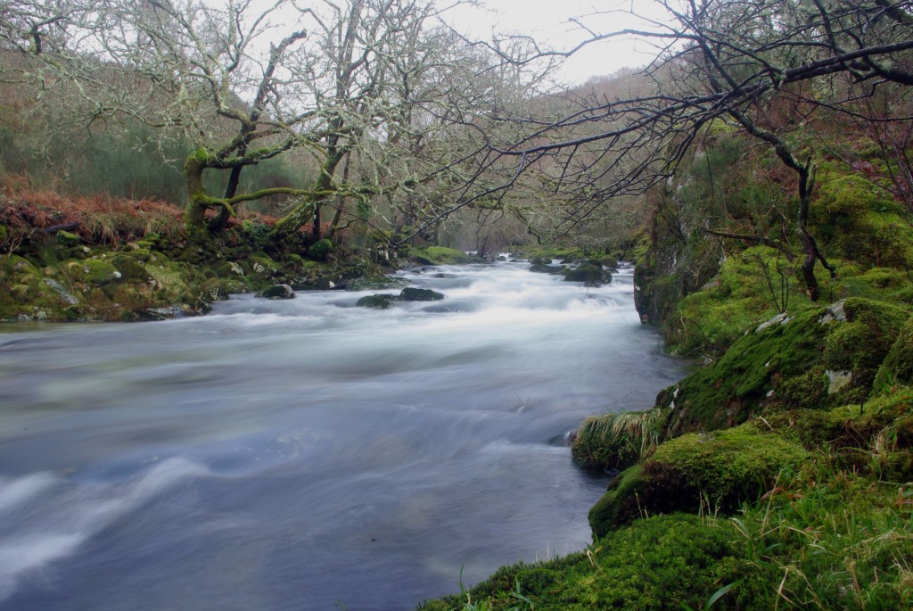 Foto de Fornelos De Montes (Pontevedra), España