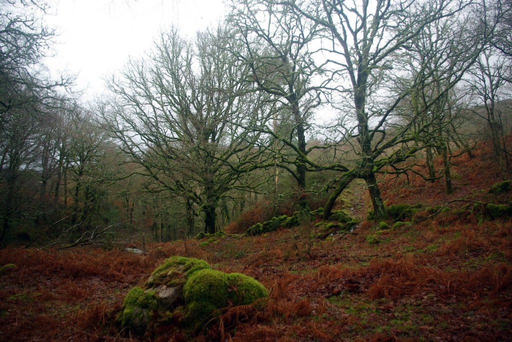 Foto de Fornelos De Montes (Pontevedra), España