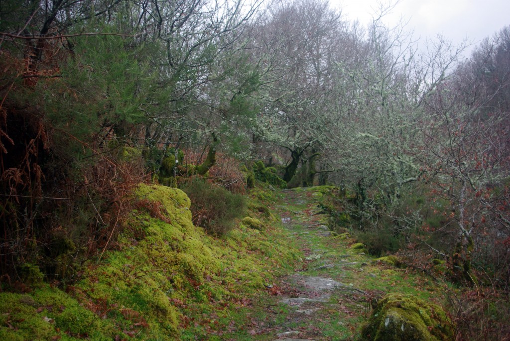 Foto de Fornelos De Montes (Pontevedra), España