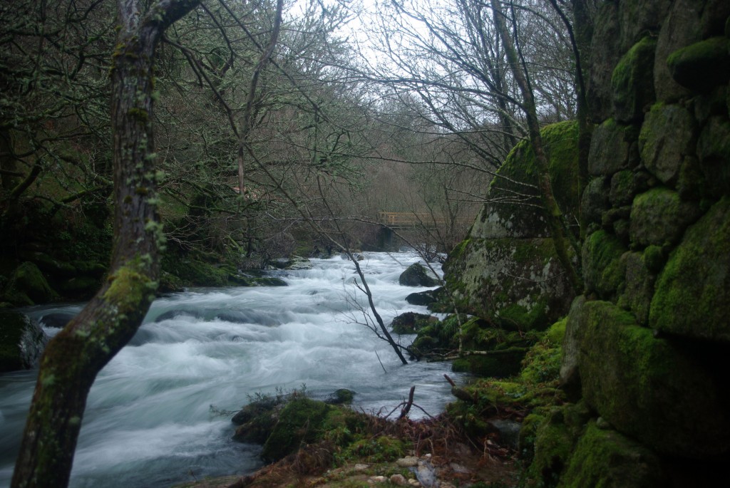 Foto de Fornelos De Montes (Pontevedra), España