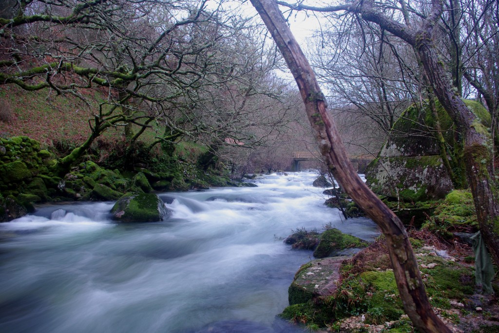 Foto de Fornelos De Montes (Pontevedra), España