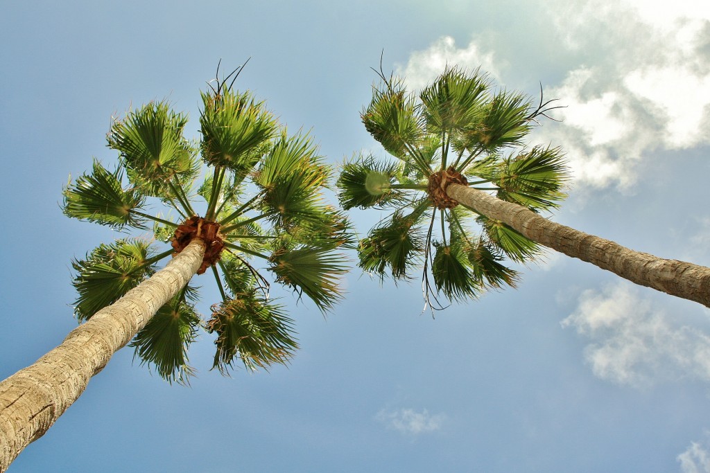 Foto: Vistas - Los Cristianos (Santa Cruz de Tenerife), España