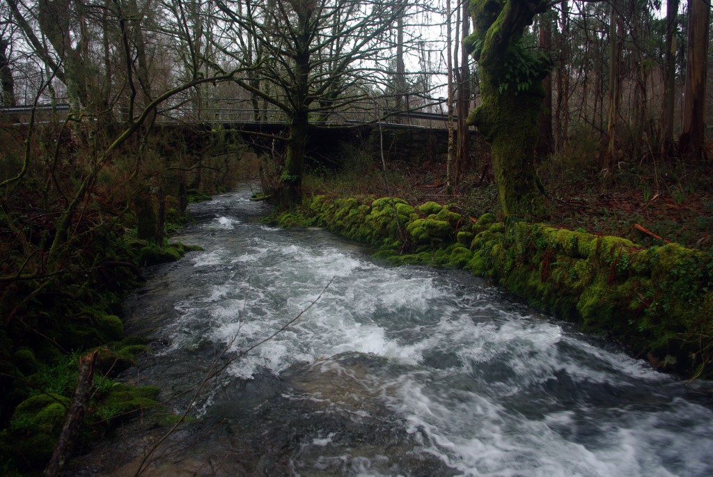 Foto de Fornelos de Montes (Pontevedra), España