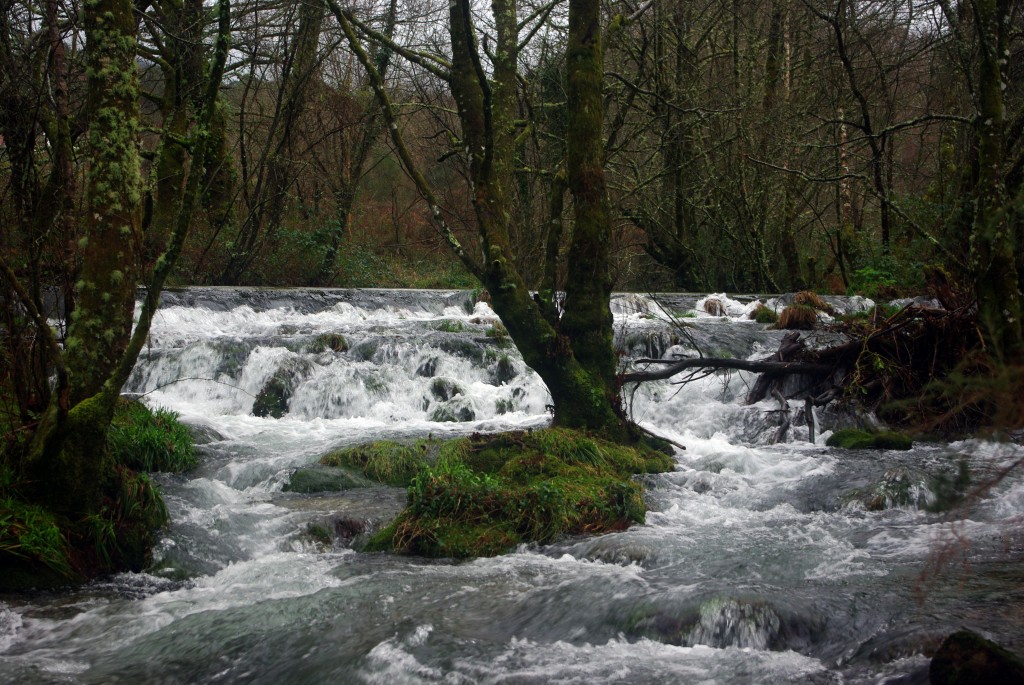 Foto de Fornelos de Montes (Pontevedra), España