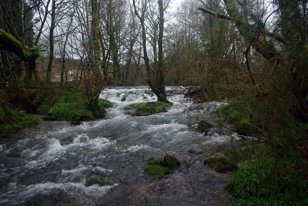 Foto de Fornelos de Montes (Pontevedra), España