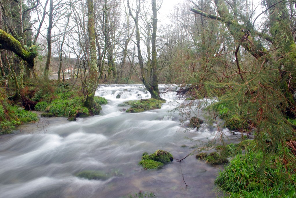 Foto de Fornelos de Montes (Pontevedra), España