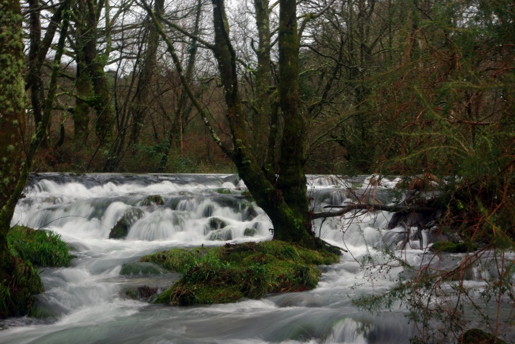 Foto de Fornelos de Montes (Pontevedra), España