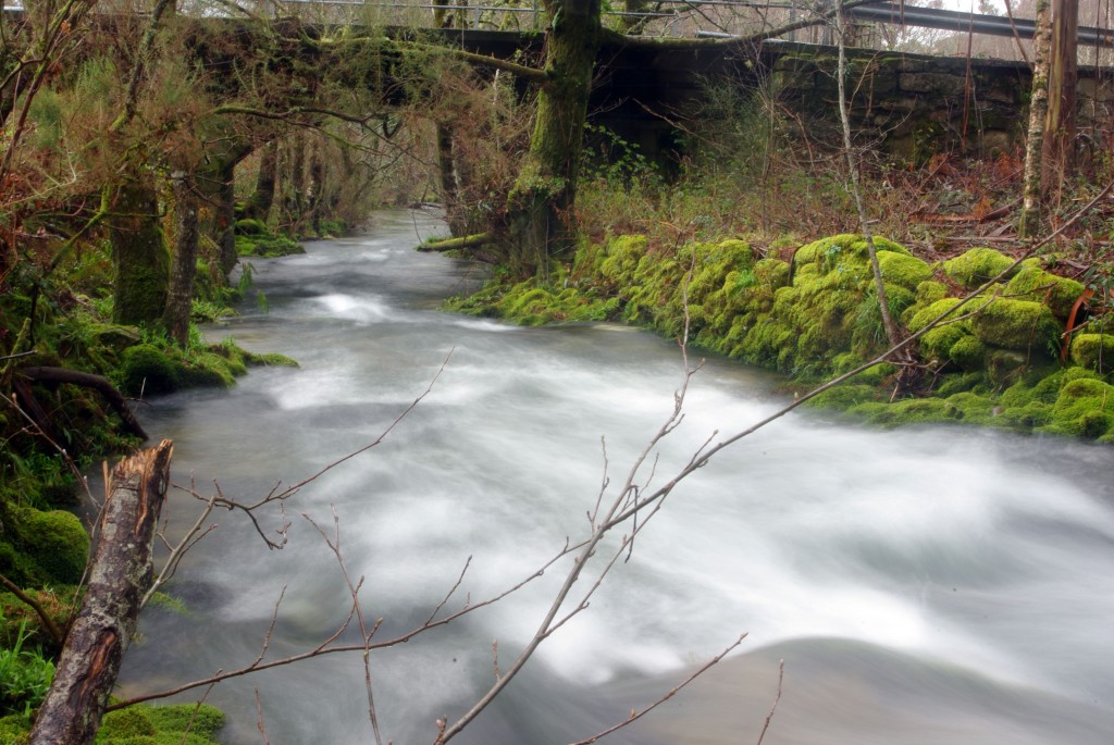 Foto de Fornelos de Montes (Pontevedra), España