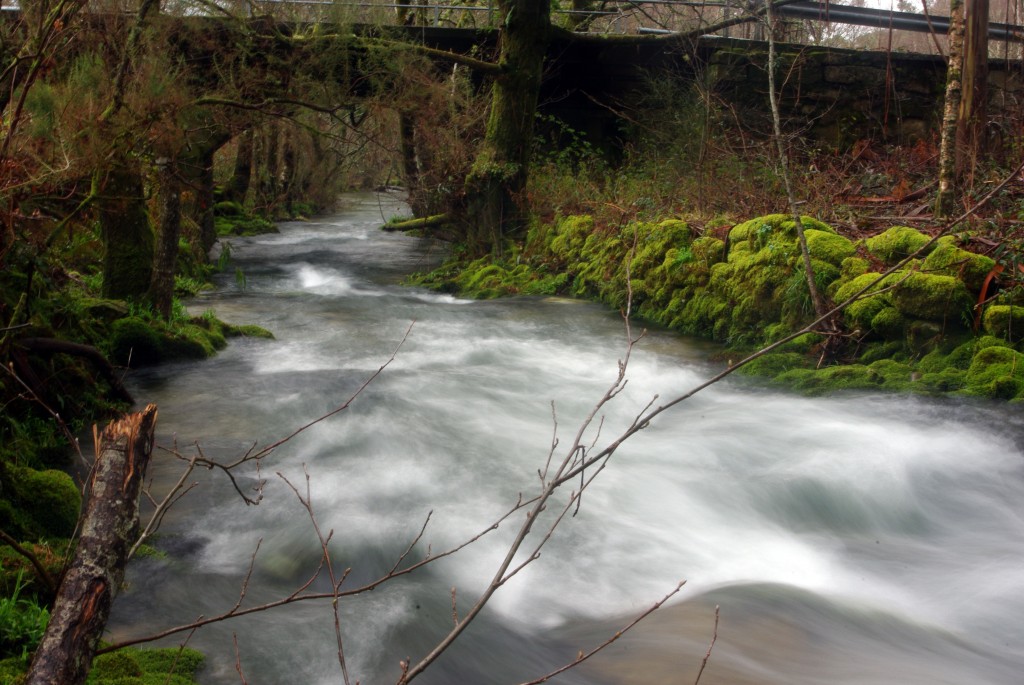 Foto de Fornelos de Montes (Pontevedra), España