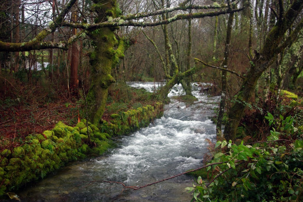 Foto de Fornelos de Montes (Pontevedra), España