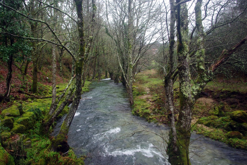 Foto de Fornelos de Montes (Pontevedra), España