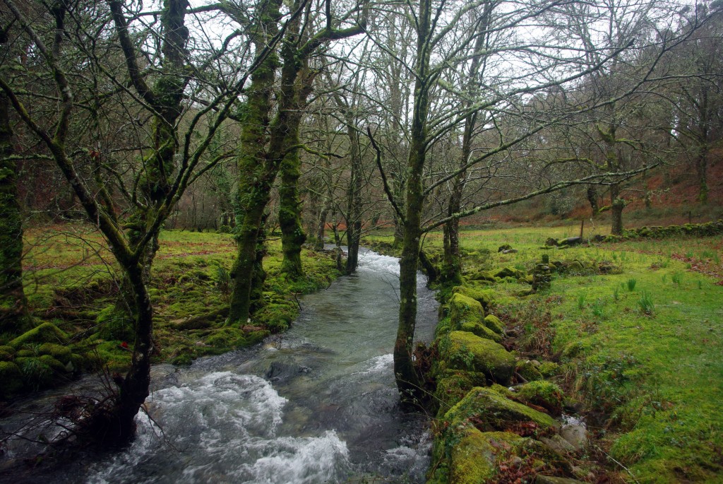 Foto de Fornelos de Montes (Pontevedra), España