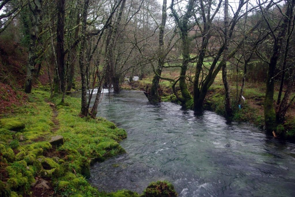Foto de Fornelos de Montes (Pontevedra), España