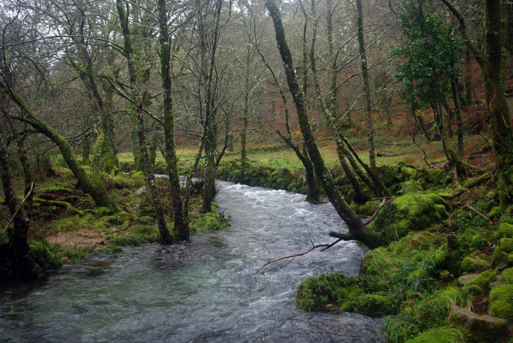 Foto de Fornelos de Montes (Pontevedra), España