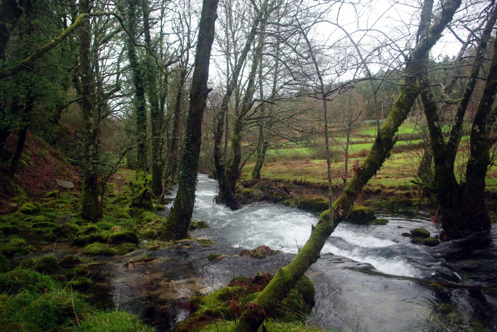 Foto de Fornelos de Montes (Pontevedra), España