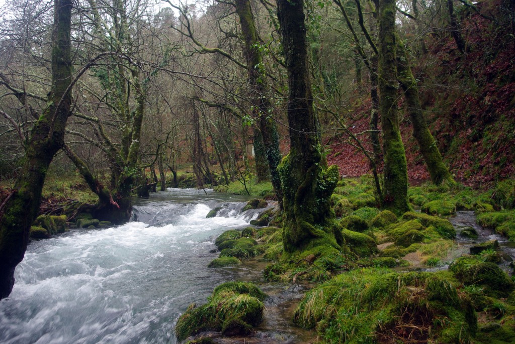 Foto de Fornelos de Montes (Pontevedra), España