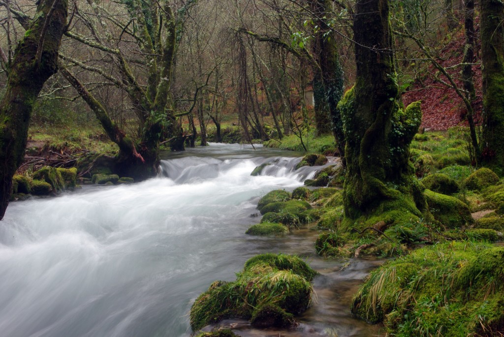 Foto de Fornelos de Montes (Pontevedra), España