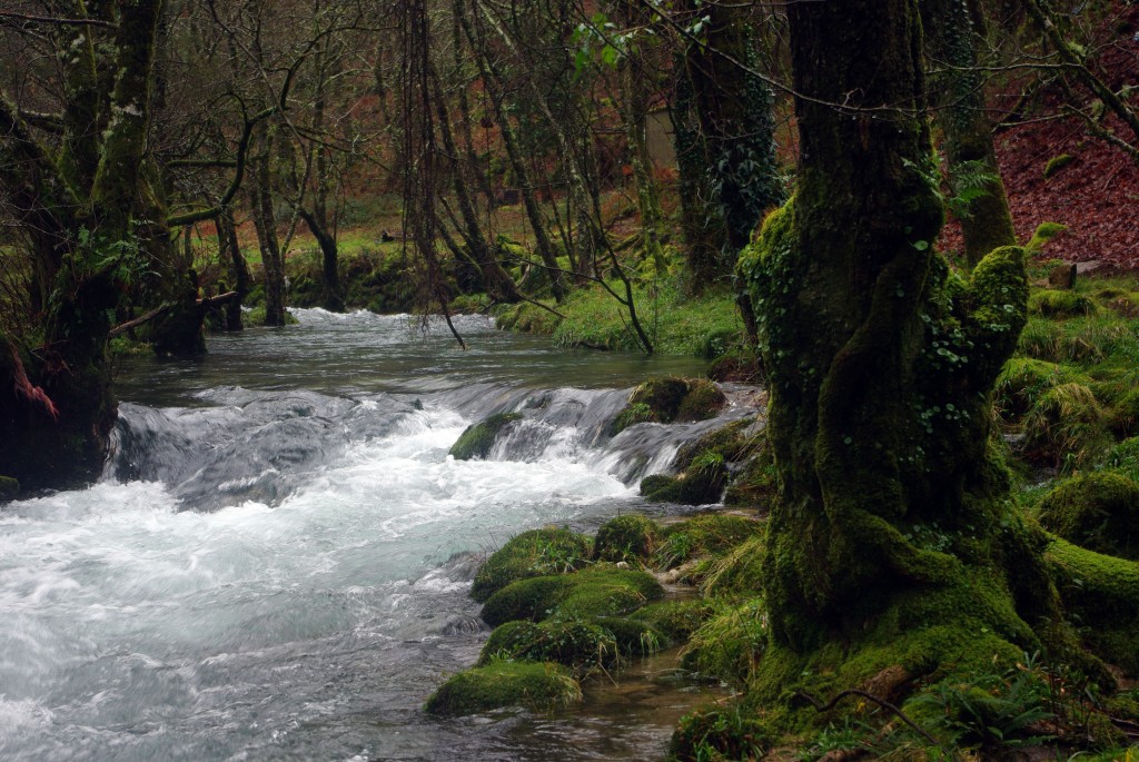 Foto de Fornelos de Montes (Pontevedra), España