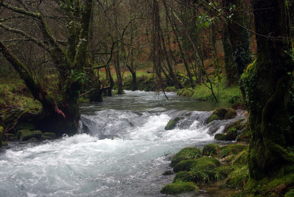 Foto de Fornelos de Montes (Pontevedra), España