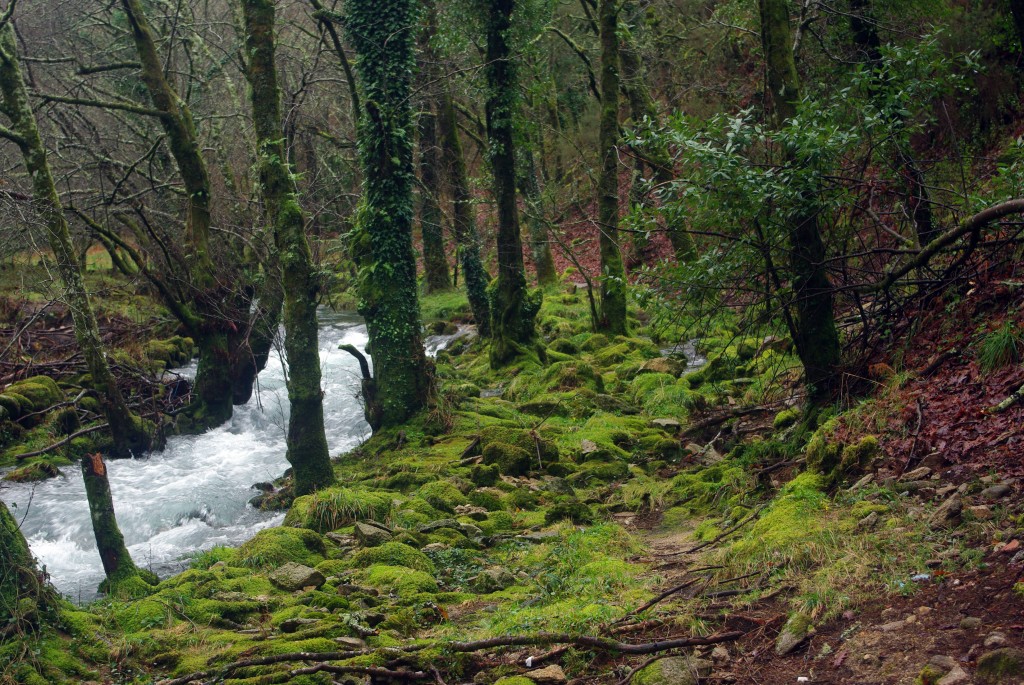Foto de Fornelos de Montes (Pontevedra), España