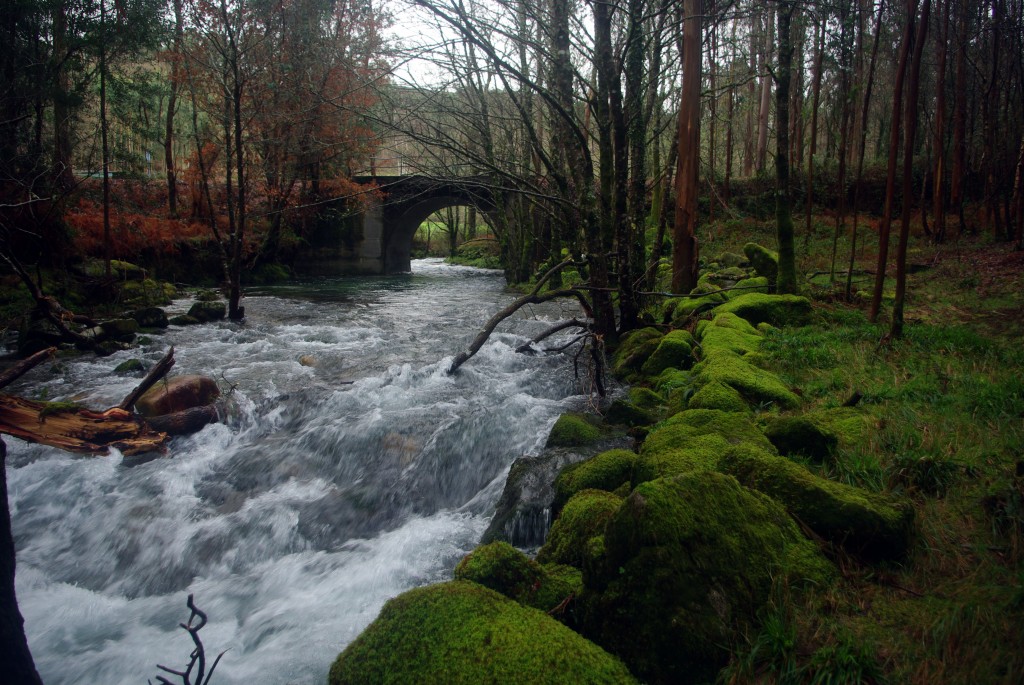 Foto de Fornelos de Montes (Pontevedra), España