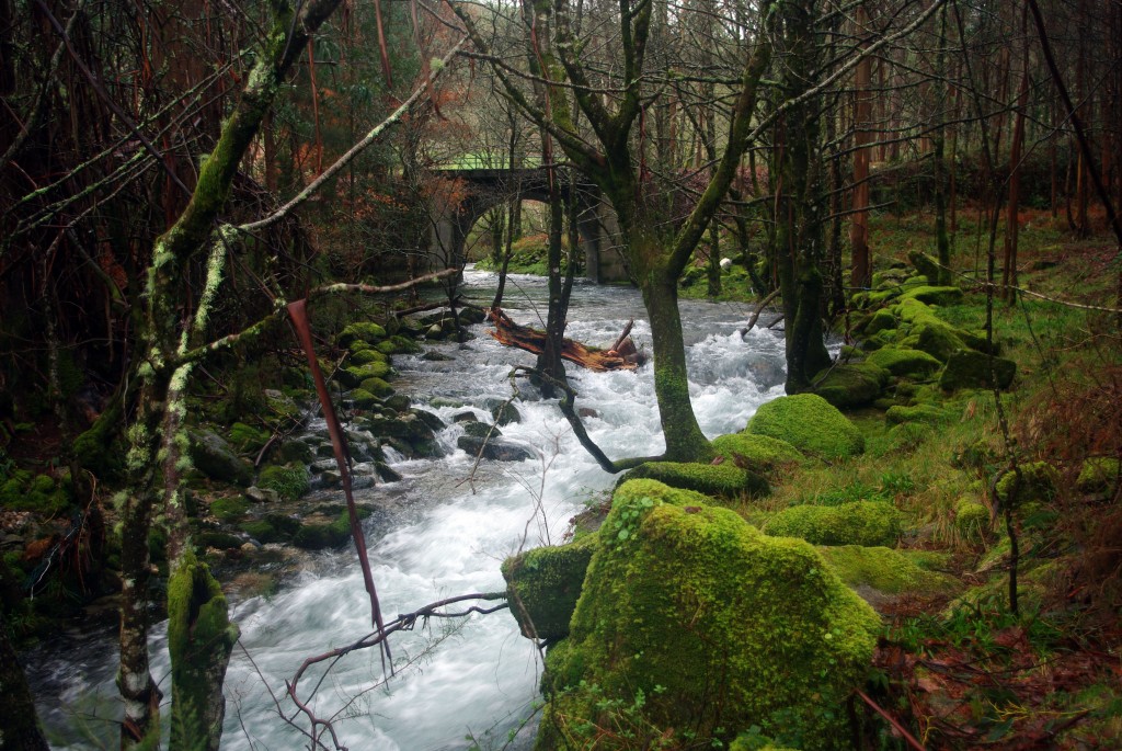 Foto de Fornelos de Montes (Pontevedra), España
