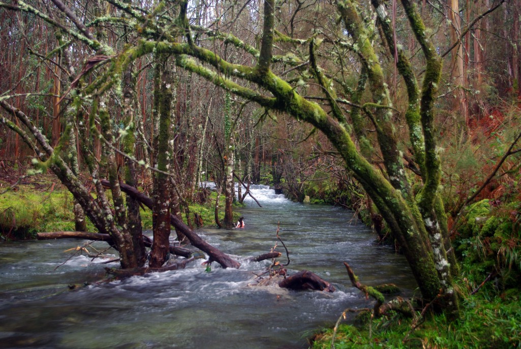 Foto de Fornelos de Montes (Pontevedra), España