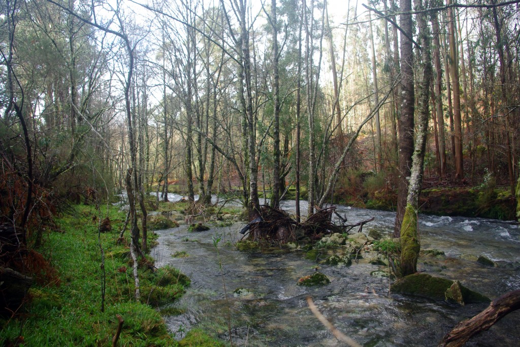 Foto de Fornelos de Montes (Pontevedra), España