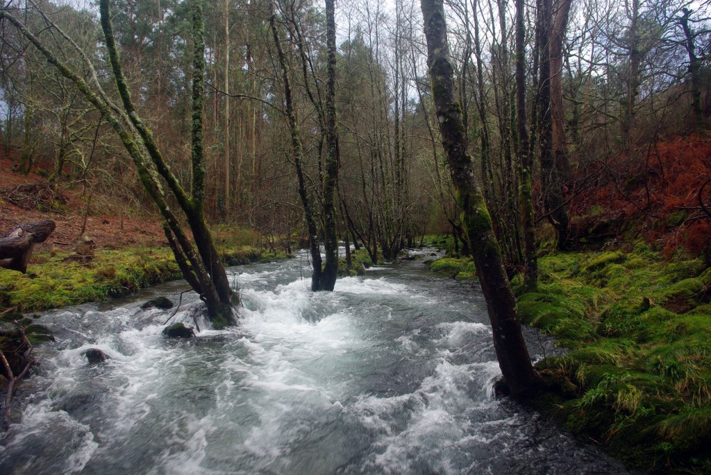 Foto de Fornelos de Montes (Pontevedra), España