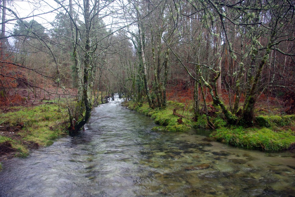 Foto de Fornelos de Montes (Pontevedra), España