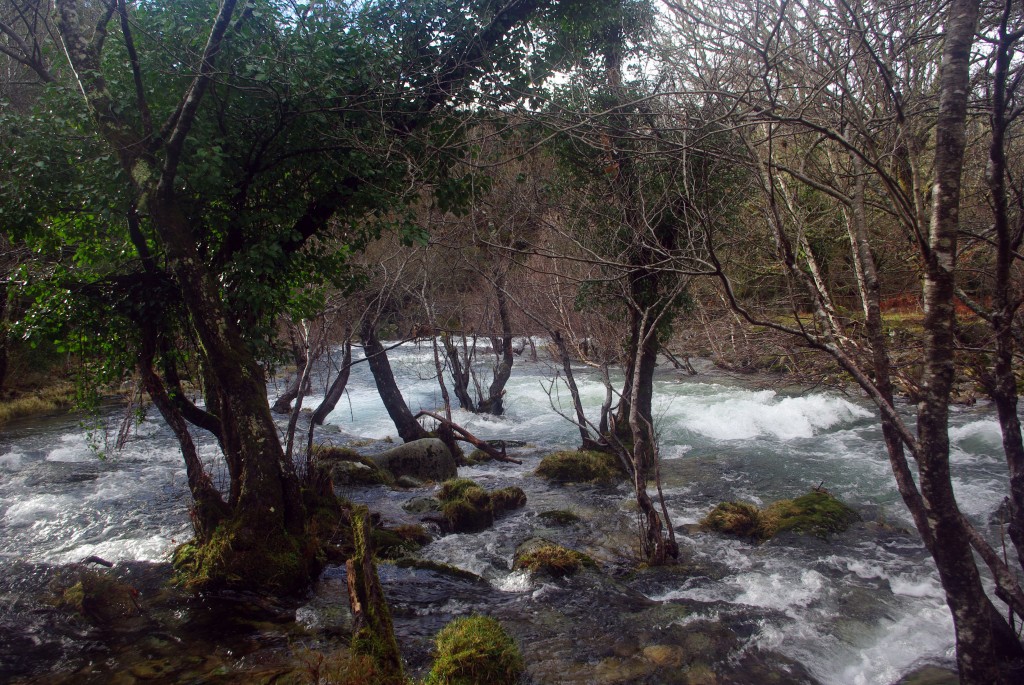 Foto de Fornelos de Montes (Pontevedra), España