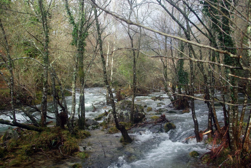 Foto de Fornelos de Montes (Pontevedra), España