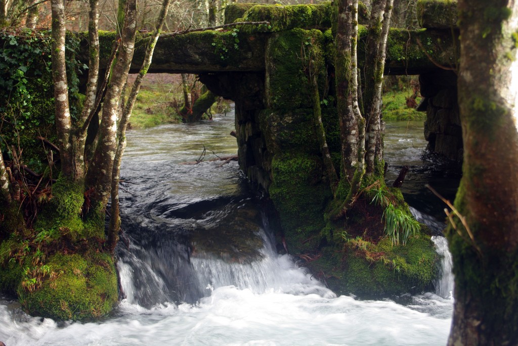 Foto de Fornelos de Montes (Pontevedra), España