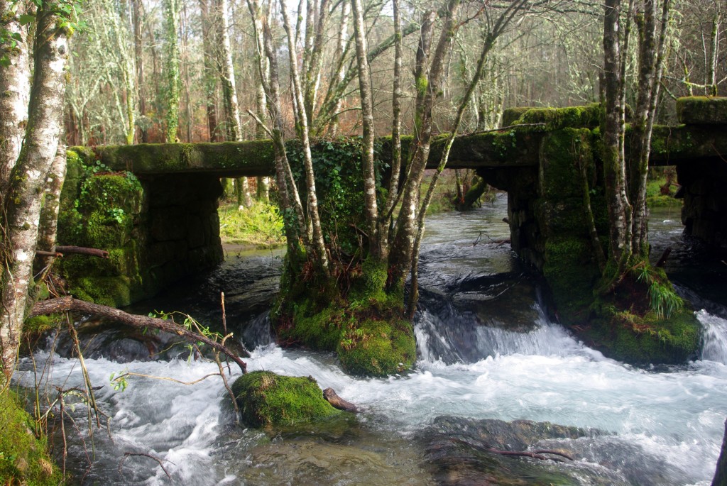 Foto de Fornelos de Montes (Pontevedra), España