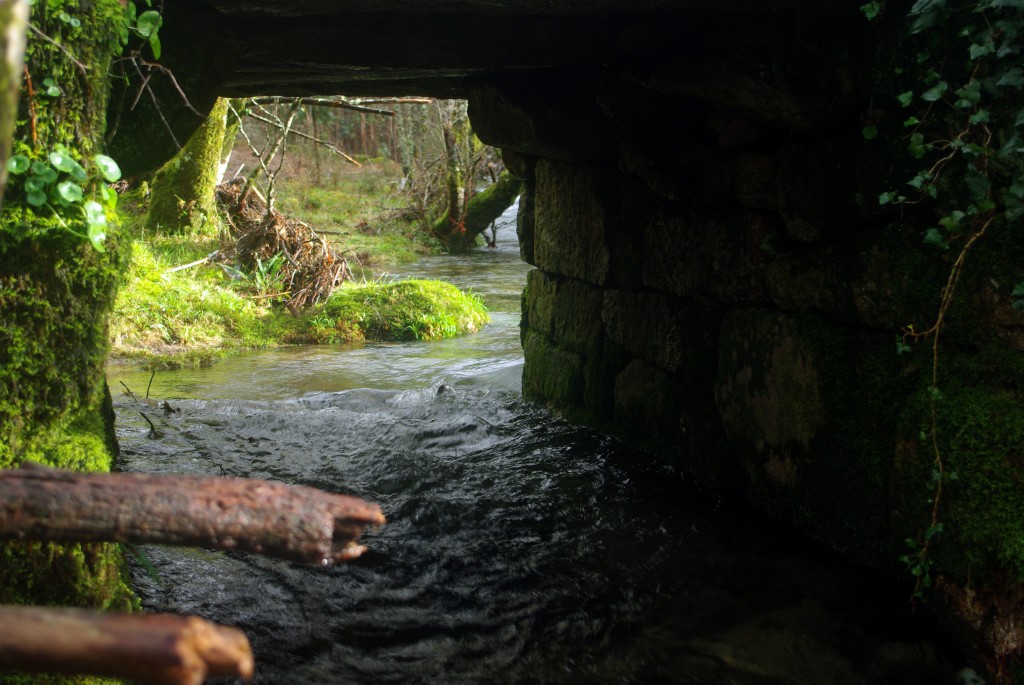 Foto de Fornelos de Montes (Pontevedra), España