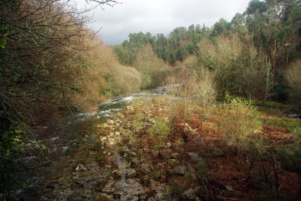 Foto de Fornelos de Montes (Pontevedra), España