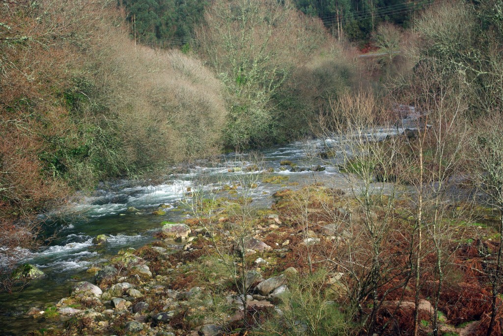 Foto de Fornelos de Montes (Pontevedra), España